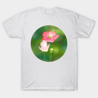 Minhwa: Lotus Flowers C Type T-Shirt